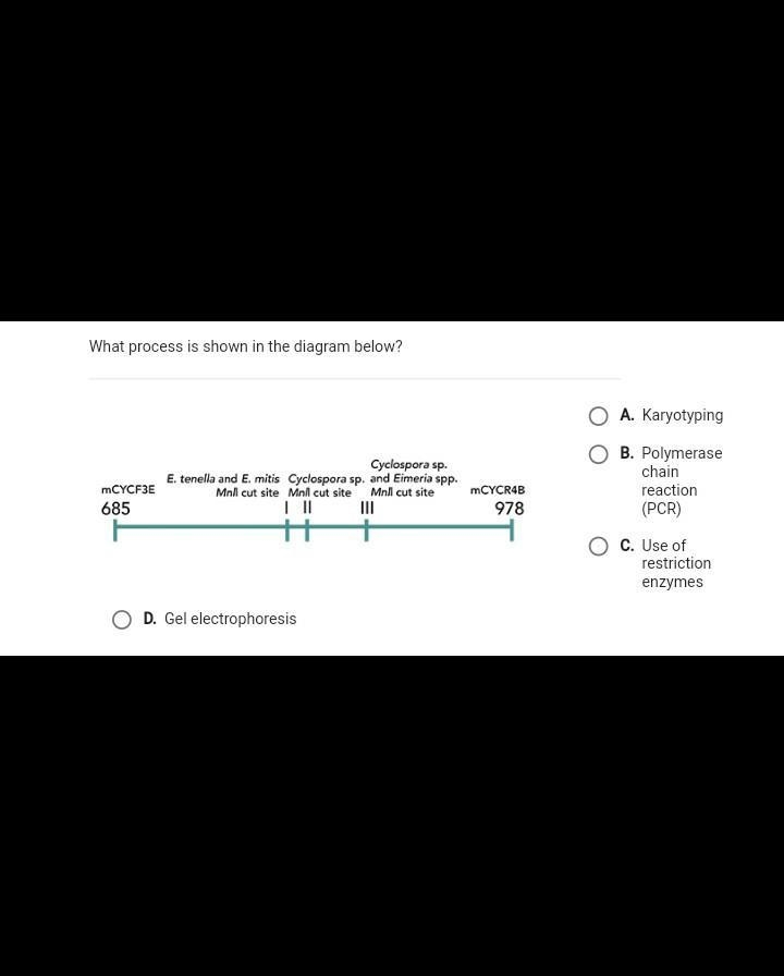 What process is shown in the diagram below?​-example-1