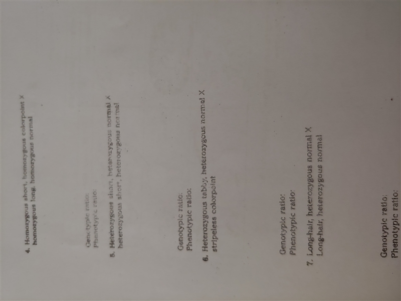 Can somebody help me with #s 4, 5, 6 and 7? I need to make punnett squares.-example-2