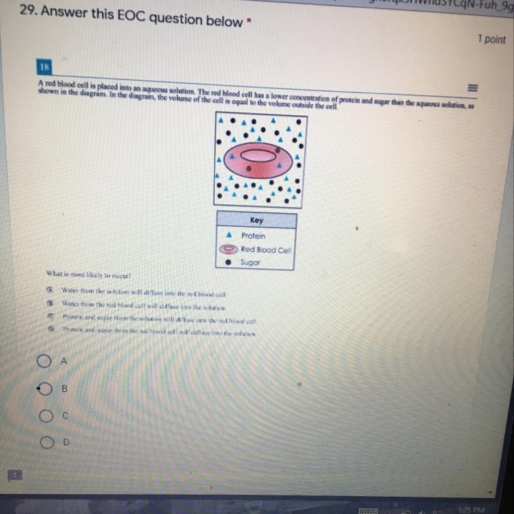 What is most likely to occur A.water from the solution will diffuse into red blood-example-1