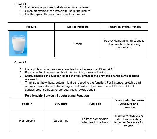 Picture List of Proteins Function of the Protein i need proteins such as milk i can-example-1