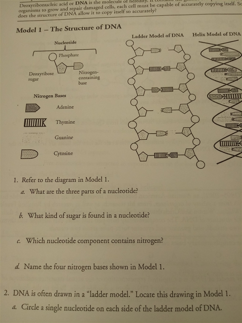 I need help with my biology​-example-1