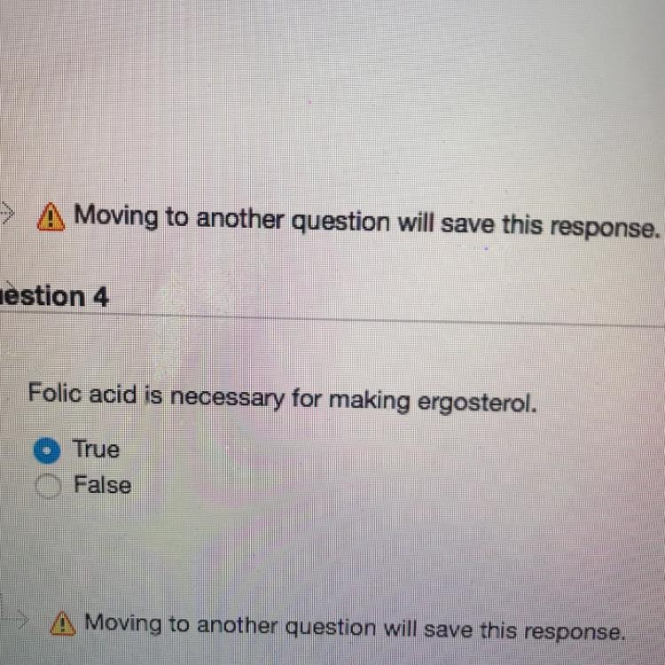 Is folic acid necessary for making ergosterol?-example-1