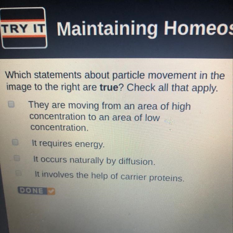 Which statements about particle movement in the image to the right are true? Check-example-1