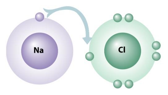 Analyze the diagram below. Which of the following is true about the sodium (Na) atom-example-1