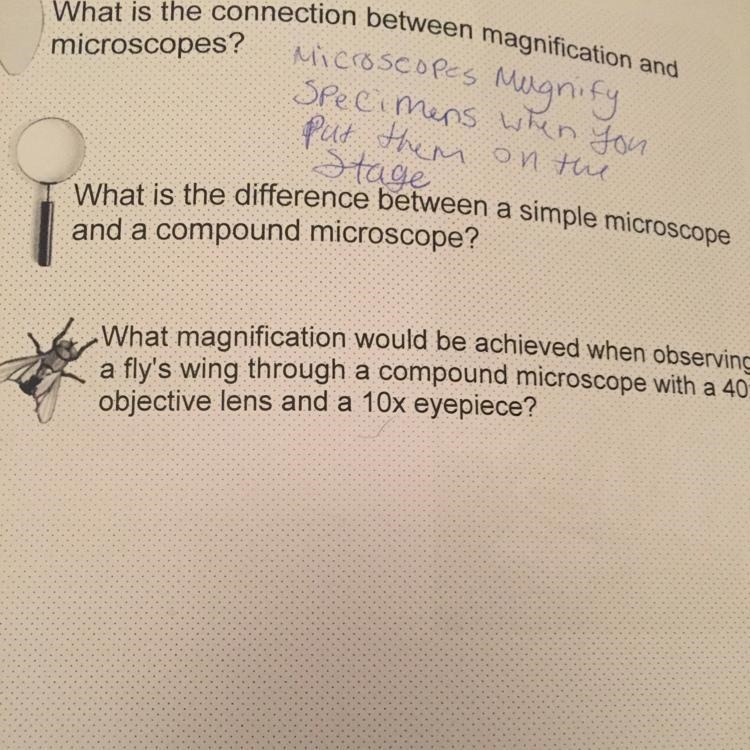 Pls help for 13 points-example-1