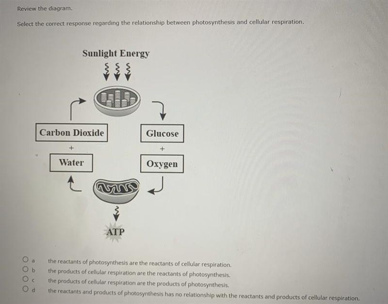 Please help ASAP, thank you-example-1