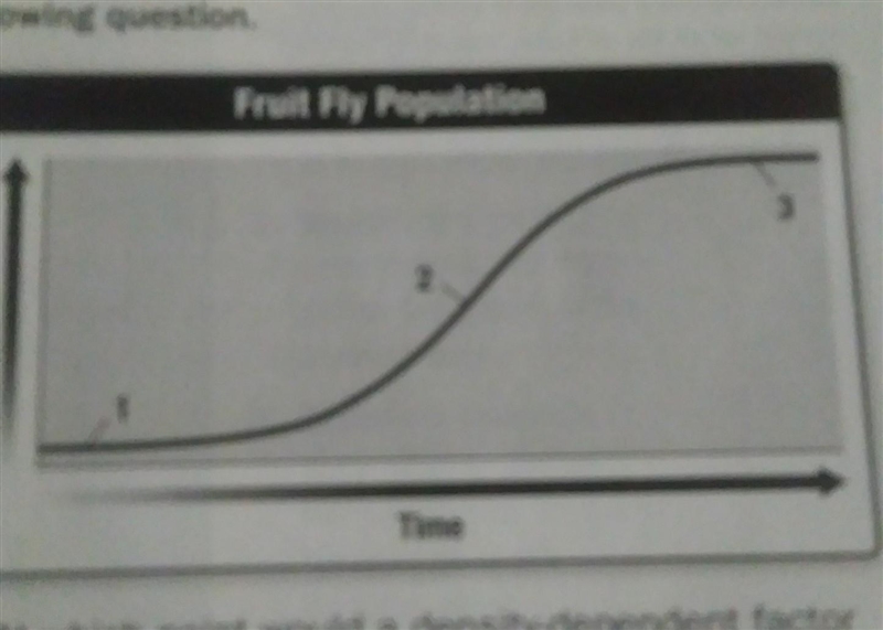 in the fruit fly population diagram,explain why the population stops increasing after-example-1