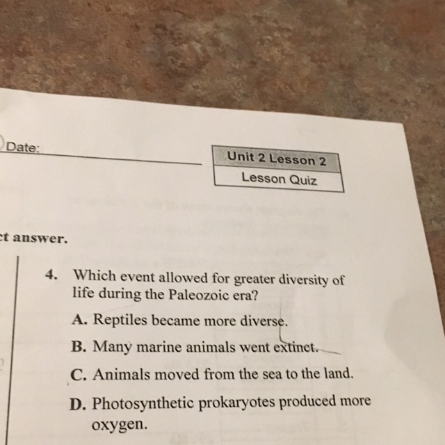 Which event allowed greater diversity of life during the Paleozoic era?-example-1