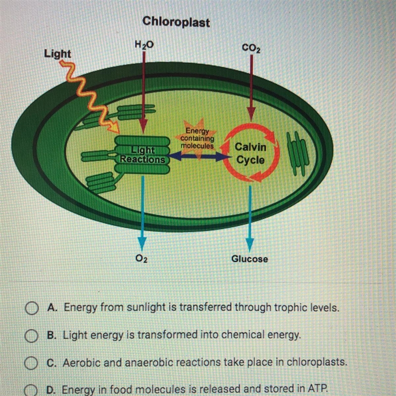 What is the main idea of the model shown?-example-1