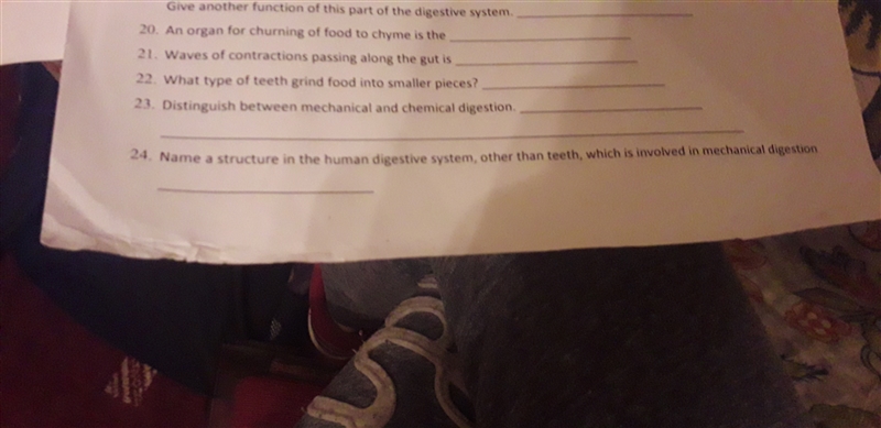 Please help me answer all the questions in the photo-example-1