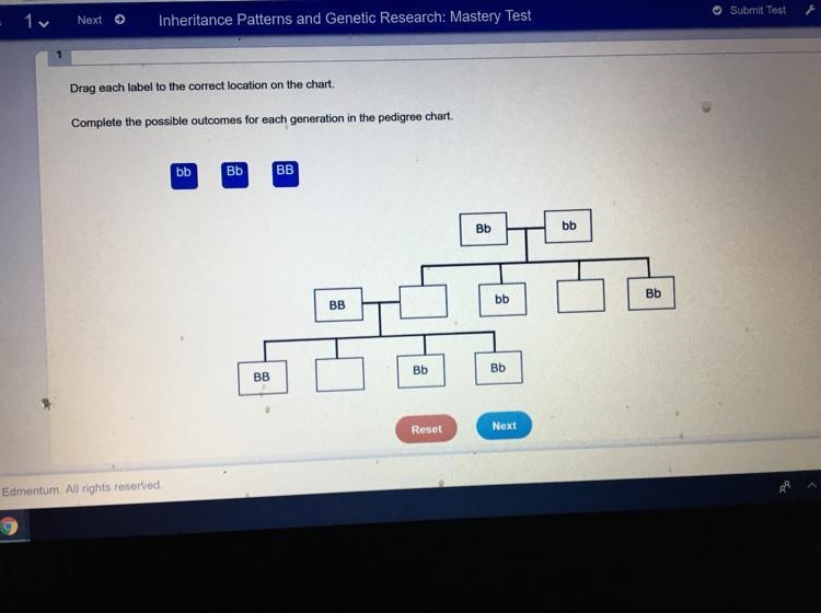 Complete the possible outcomes for each generation in the pedigree chart. bb Bb BB-example-1