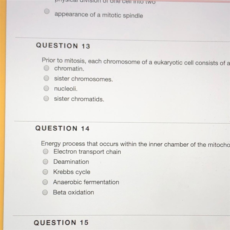 Energy process that occurs within the inner chamber of the mitochondria-example-1