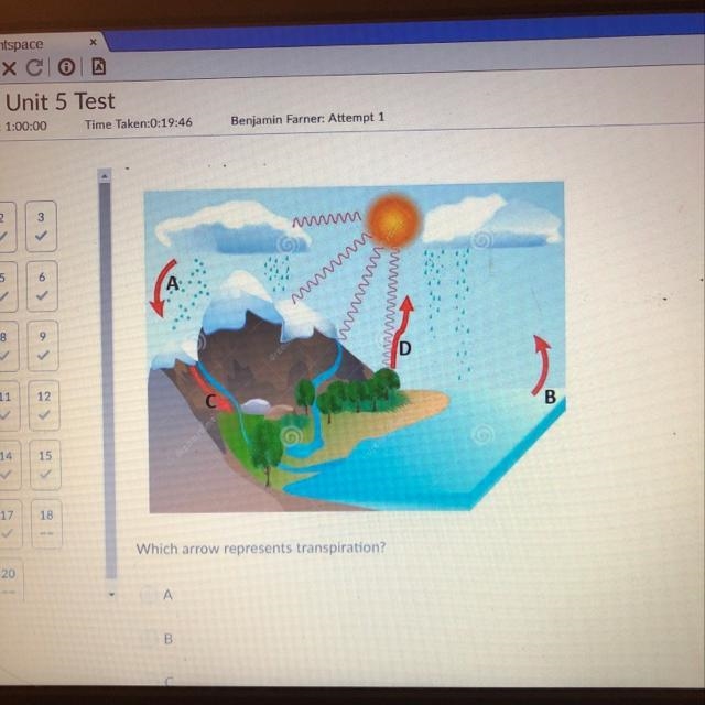 Help asap‼️Which arrow represents transpiration? A B C D-example-1