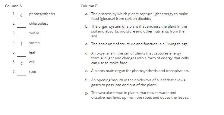 HELP WITH SICINCE PLZZ-example-1