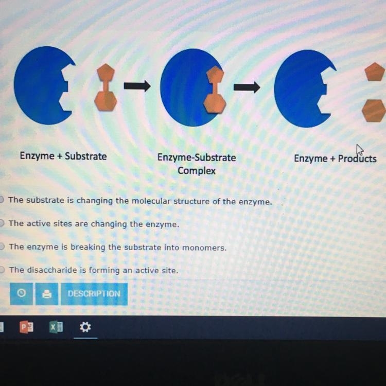 What is happening in the second step of this lock and key model of an enzyme? Please-example-1