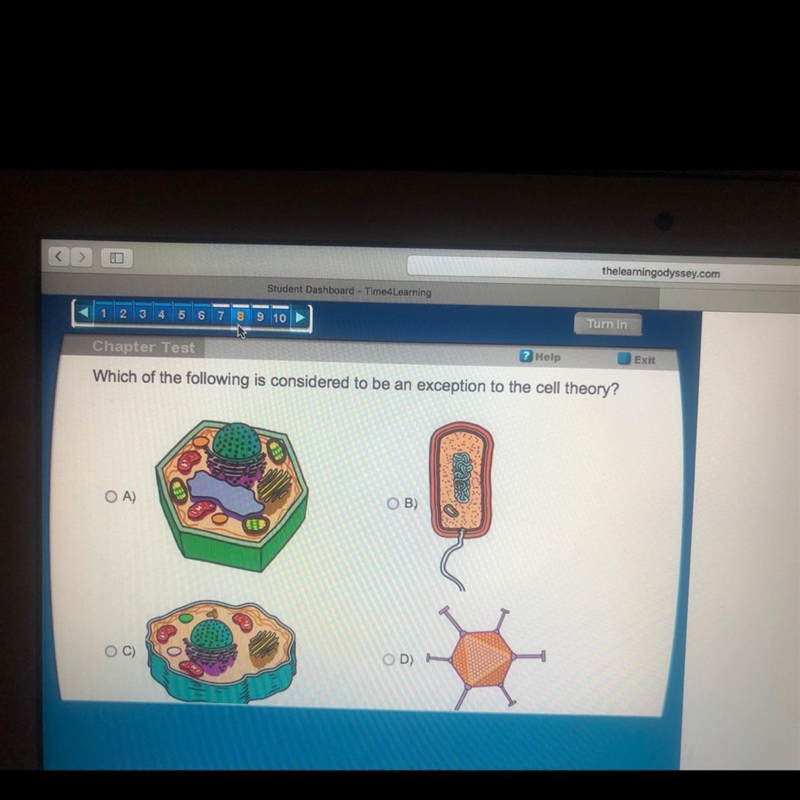 Which of the following is considered to be an exception to the cell theory?-example-1