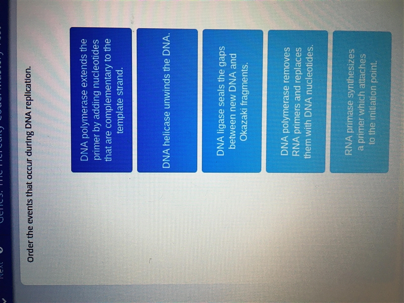 Order the events that occur during DNA replication-example-1