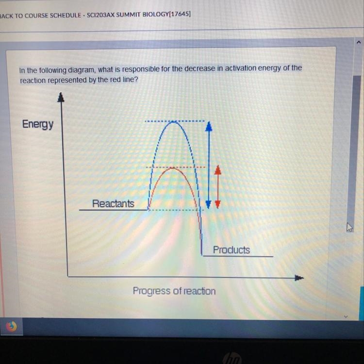 In the following diagram, what is responsible for the decrease in activation energy-example-1