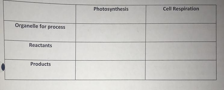 If anyone can help me fill out the table bc all my answers were wrong-example-1