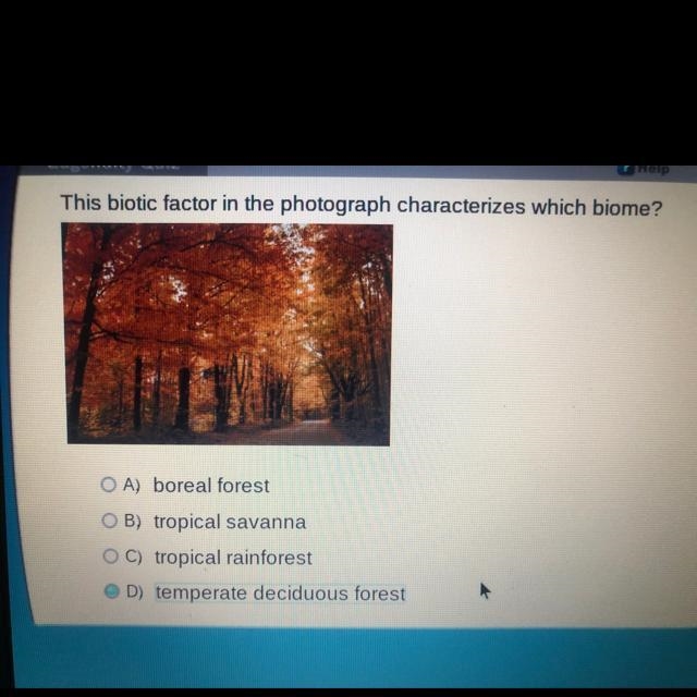 This biotic factor in the photograph characterizes which biome? A) boreal forest B-example-1