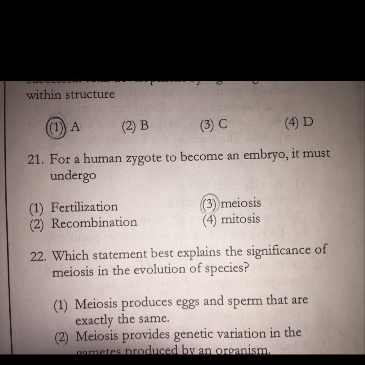 Why is 4 the correct answer to number 21 ? explain why please and answer this !!-example-1