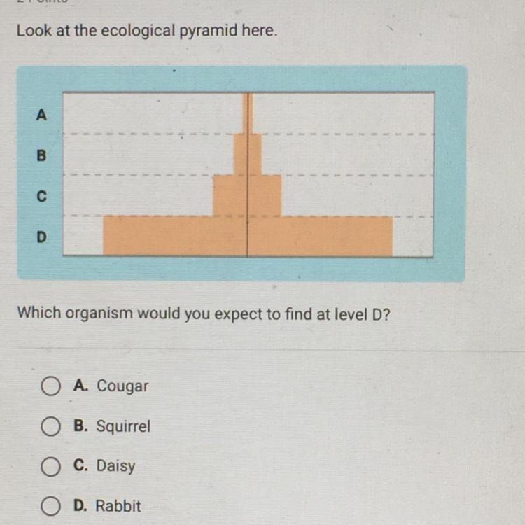 Look at the ecological pyramid here. Which organism would you expect to find at level-example-1