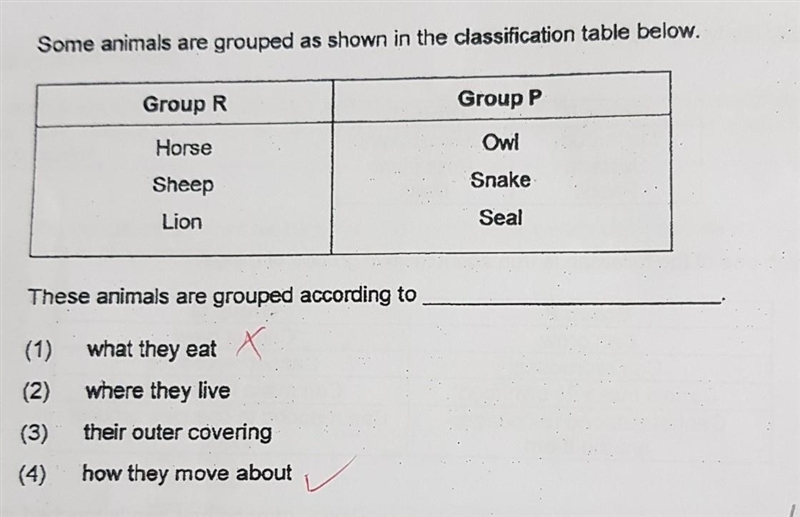 Is 4 the correct answer and why? ​-example-1