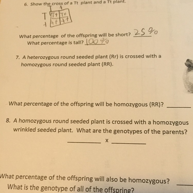 Can you guys help me with number 8. Plz plz plz-example-1