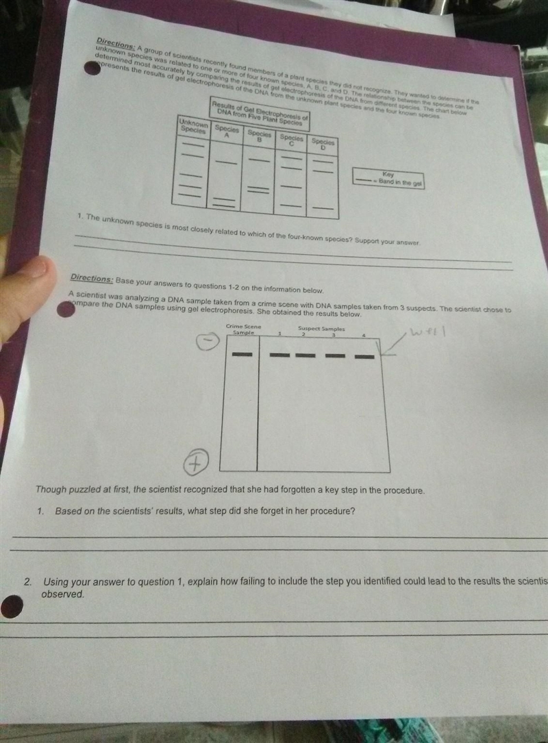 can anyone please help on my biology hw) Directions: A group of scientists recently-example-1