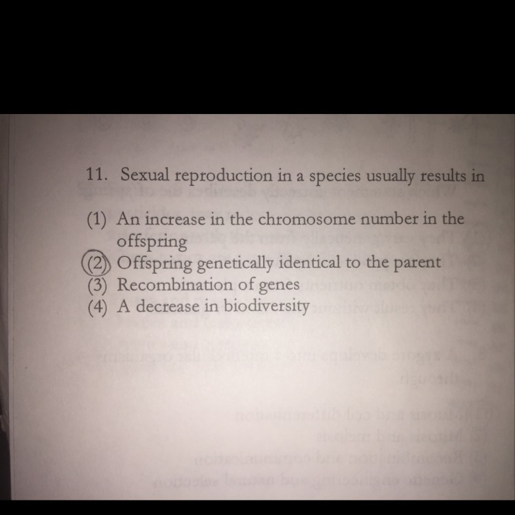 Why is three the correct answer to number 11 ? Explain why please and answer this-example-1