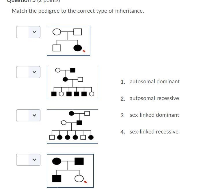 Match the pedigree to the correct type of inheritance.-example-1