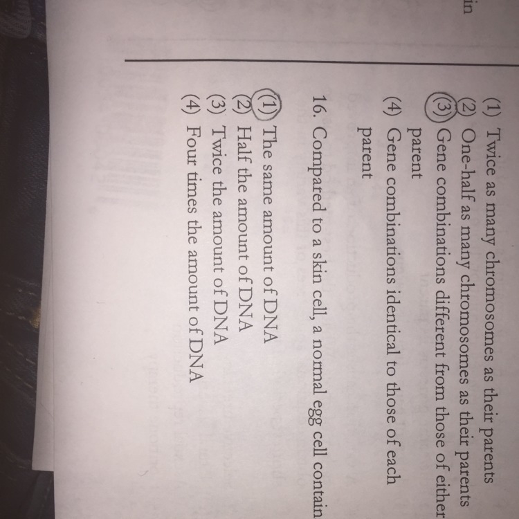 Why is 2 the correct answer to number 16 ? Explain why please and answer this !!-example-1