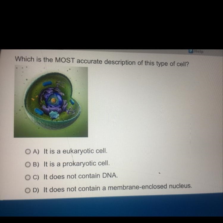 Which is the MOST accurate description of this type of cell ?-example-1