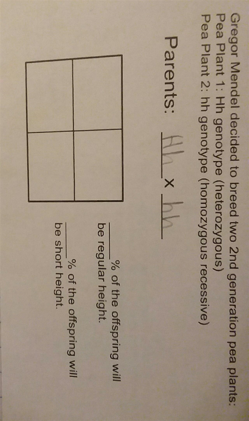 Please help with the Gregor Mendel Punnett Squares​-example-1