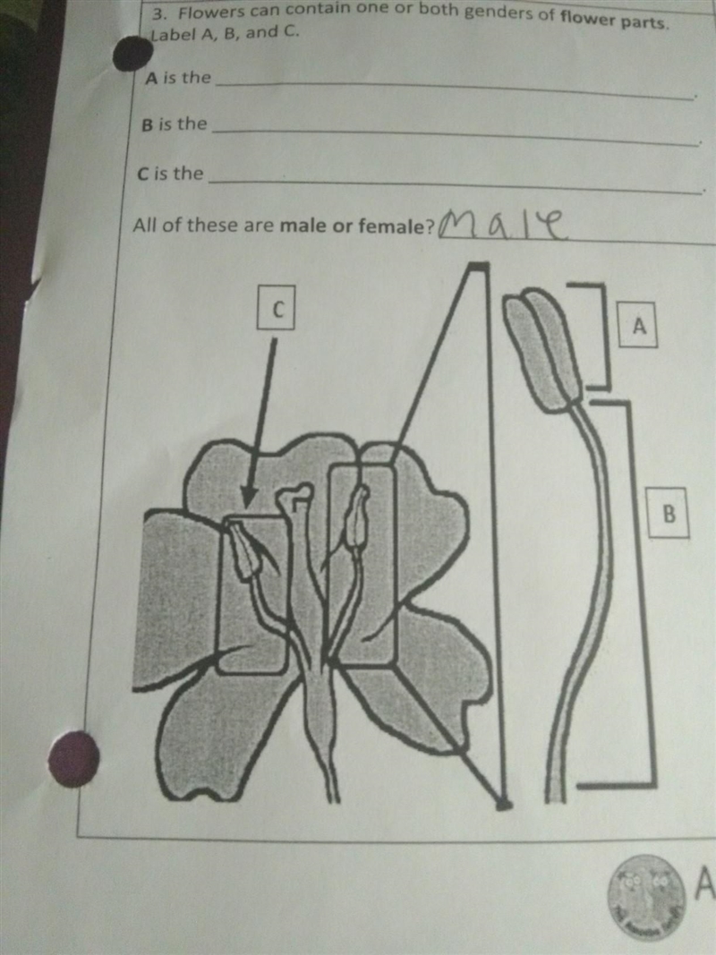 Please help me 3. Flowers can contain one or both genders of flowers parts. label-example-1