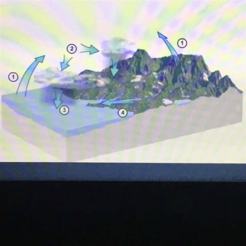 For this question look at the hydropic diagram Water that is heated by the sun evaporates-example-1