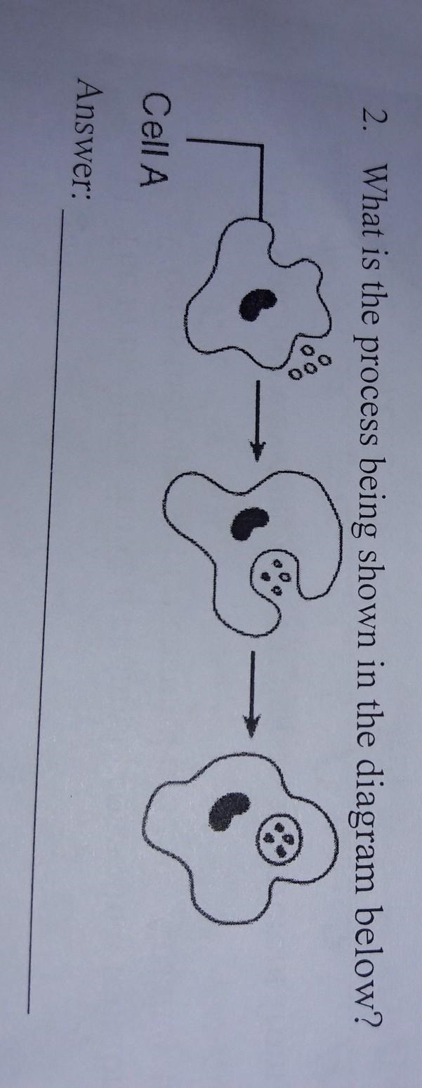 What is the process being shown in the diagram below?​-example-1