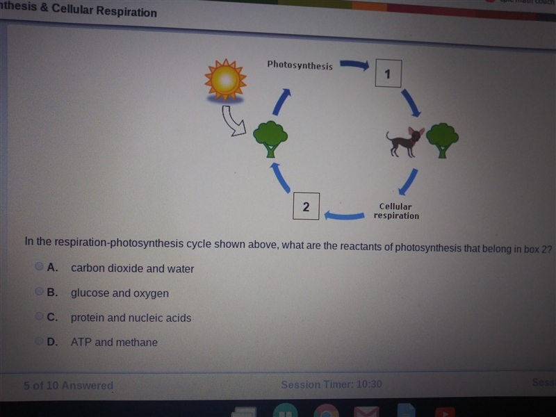 In the respiration-photosynthesis cycle shown above, what are the reactants of photosynthesis-example-1