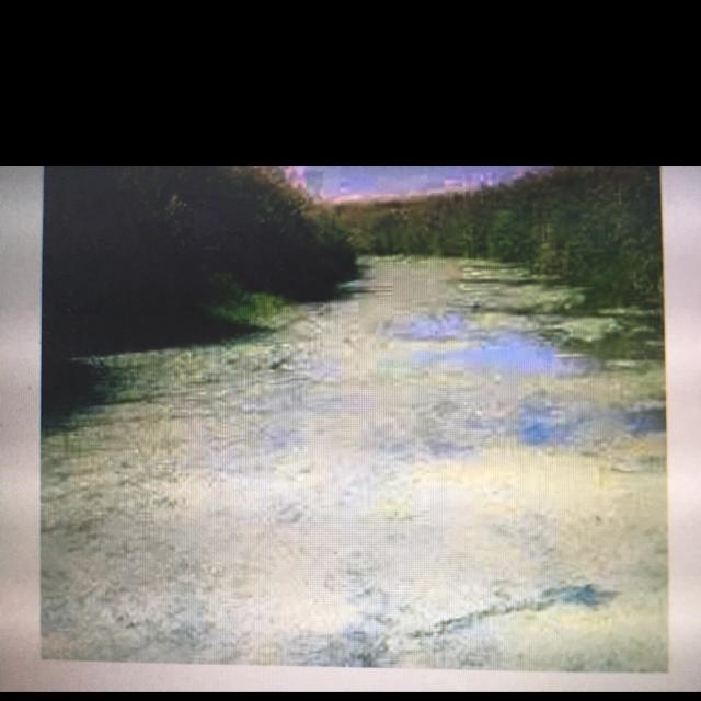 A problem caused by the overuse of fertilizer that results in algal blooms like this-example-1