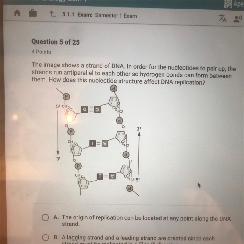 Please answer !!! The image shows a strand of DNA. In order for the nucleotides to-example-1