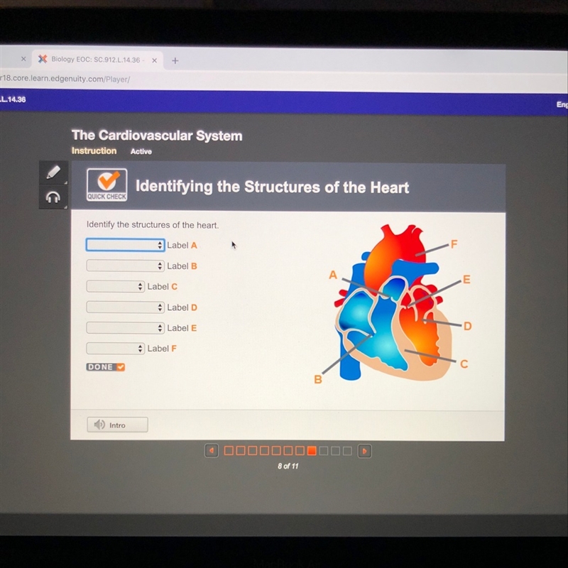 Identify the structure of the heart.-example-1