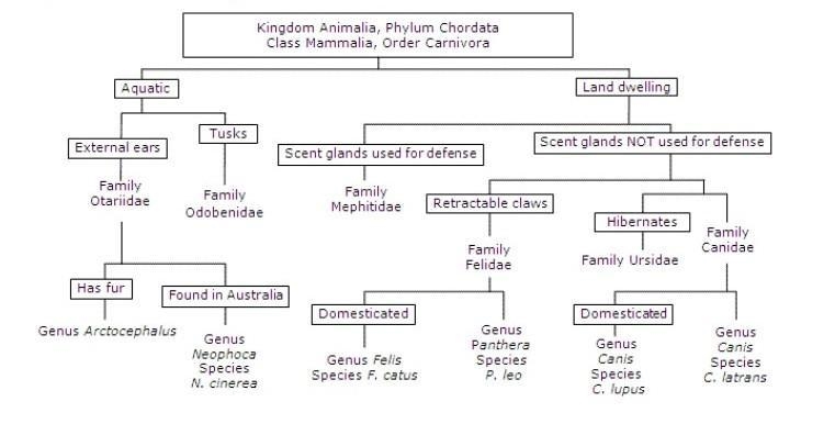 What is the family of the animal that is aquatic and has fur and external ears?​-example-1