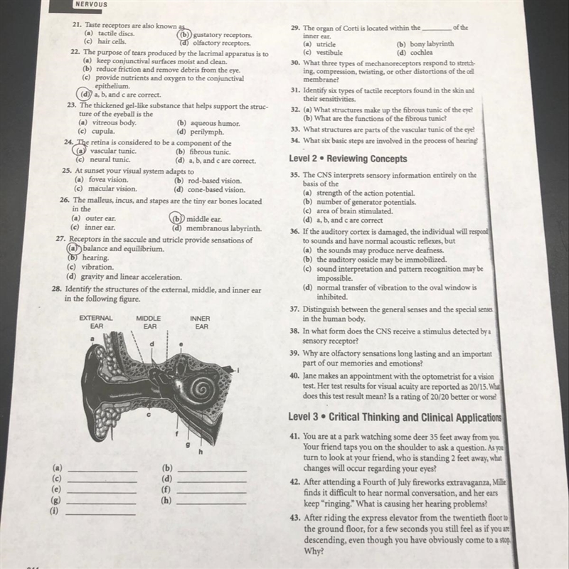 Please help with this worksheet asap!!-example-1