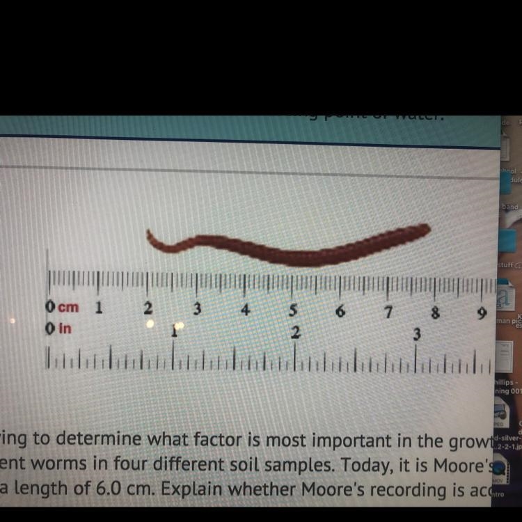 Coach Wood's class is trying determine what factor is most important in the growth-example-1