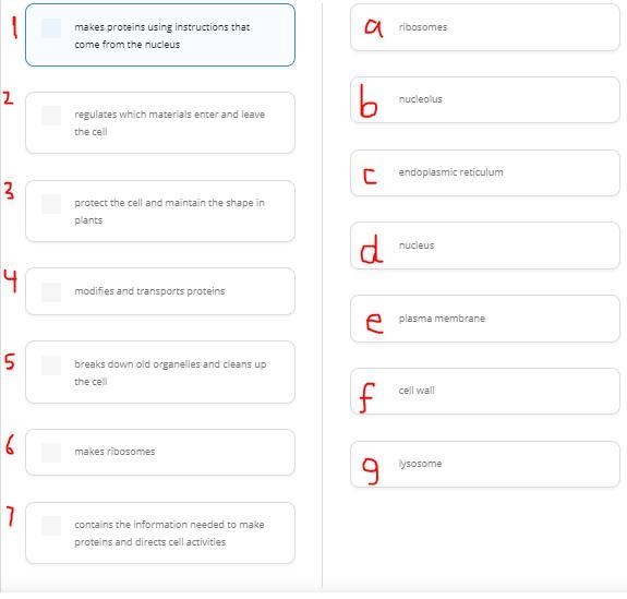 Please help me with this matching.-example-1