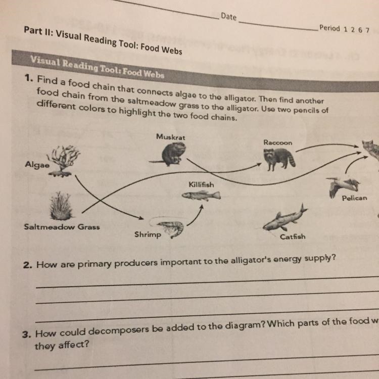 How are food chains and food webs related-example-1