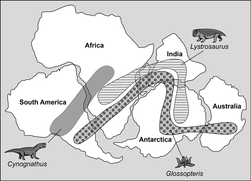 Biogeography is the study of the distribution of species in different regions through-example-1