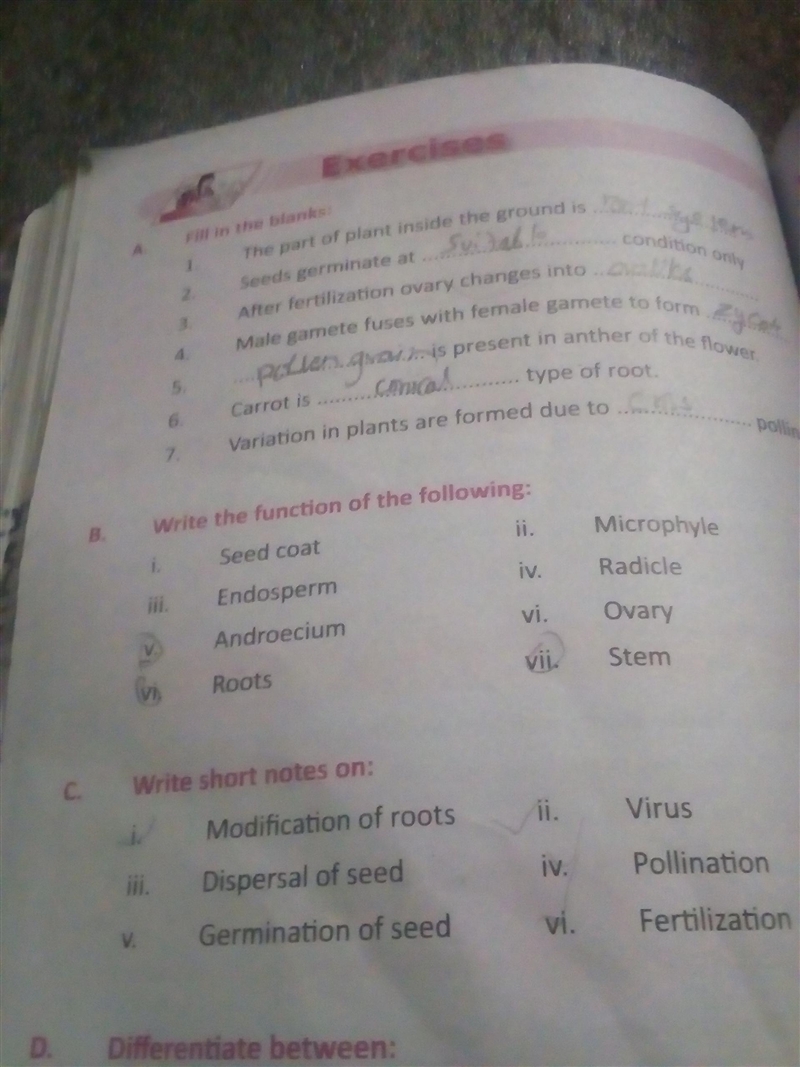 Answer question number B-example-1