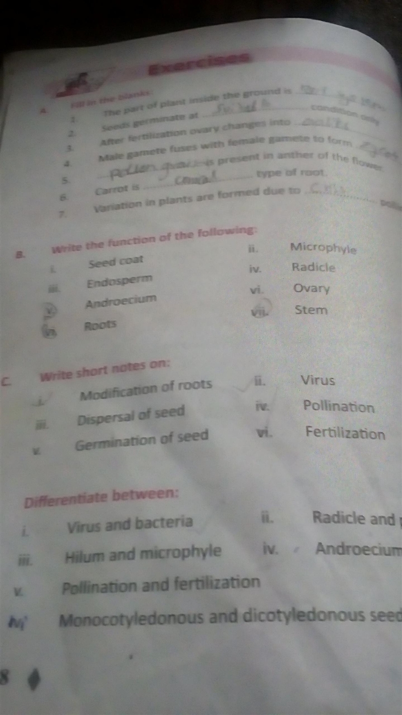 Answer question number B-example-2