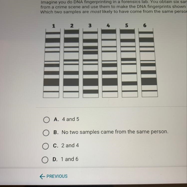 Which two samples are most likely to have come from the same person-example-1